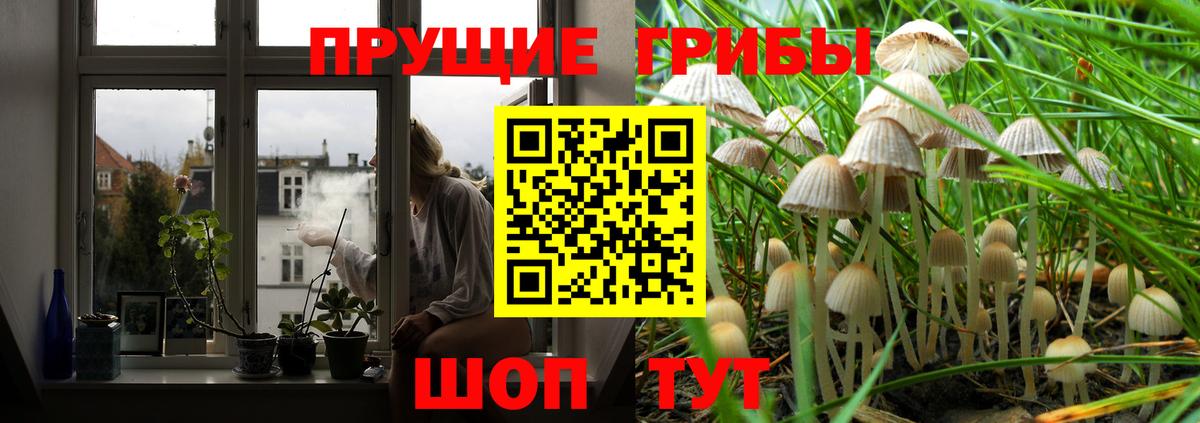 Галлюциногенные грибы GOLDEN TEACHER  Вход с VPN  цена   Луховицы 